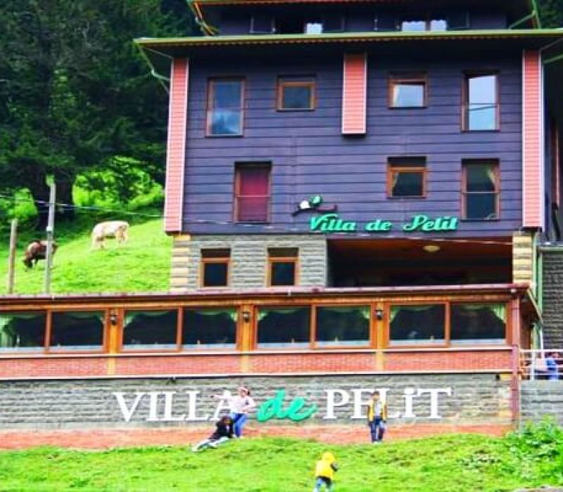Villa De Pelit Hotel