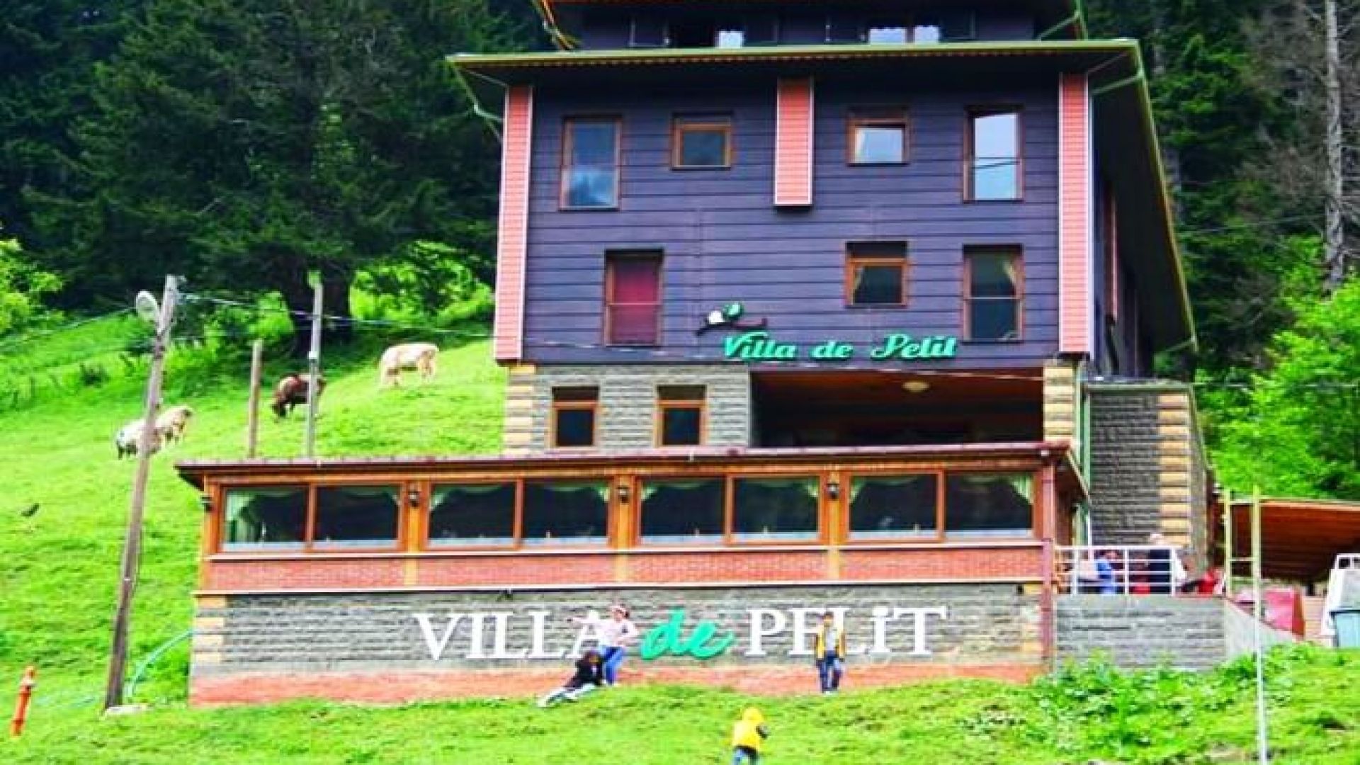 Villa De Pelit Hotel 1